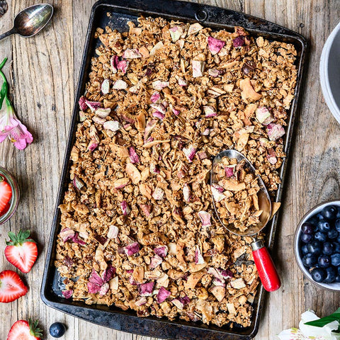 Apple Chia Coconut Hemp Seeds Granola