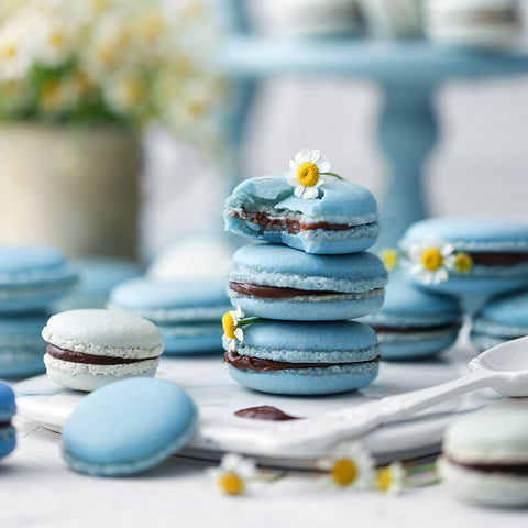 Pastel Blue Macarons with Coconut Ganache Cream